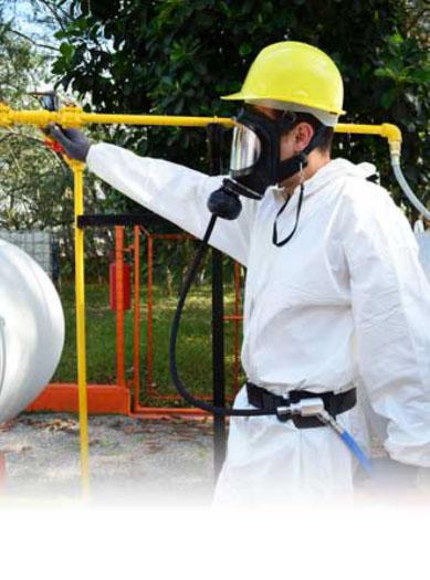 Conjunto Facial IBR PP | Indigo Safety